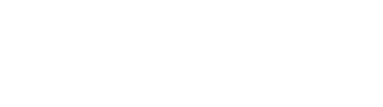Italia non profit
